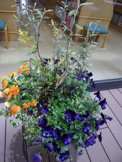 光庭の花鉢